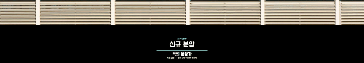 상가분양 · 신규 분양