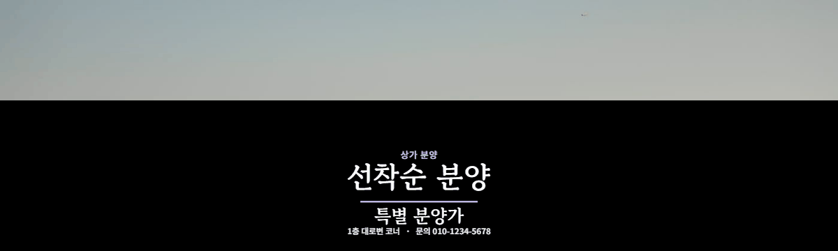 상가분양 · 선착순 분양