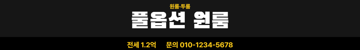 원룸·투룸 · 풀옵션 원룸 12