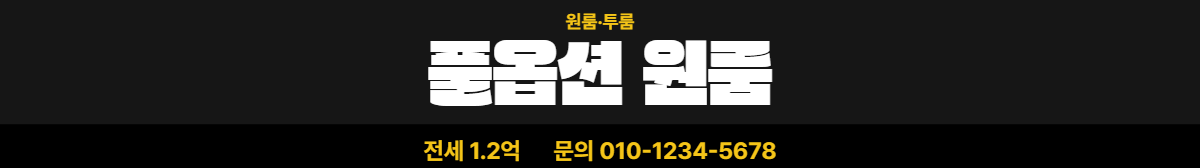 원룸·투룸 · 풀옵션 원룸 24